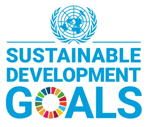 UN SDGs Logo